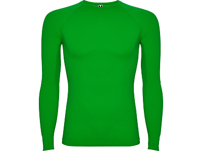 Термофутболка с длинным рукавом Prime мужская (Папоротниковый)
