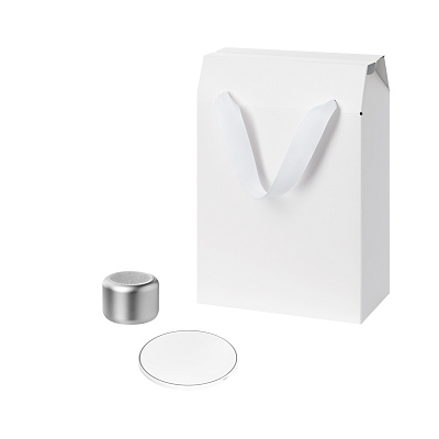 Подарочный набор Passion, Auris,  серебряный (колонка, зарядное устройство) (Серебряный, белый)