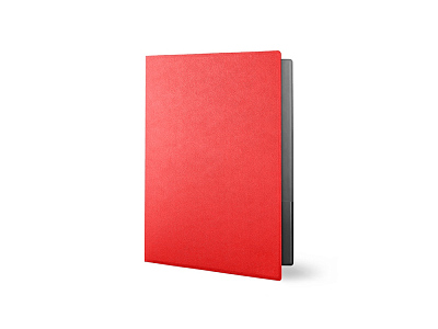 Папка для документов Фэйвор