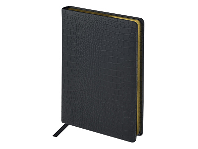 Ежедневник недатированный А5 Amazonia (Чёрный)