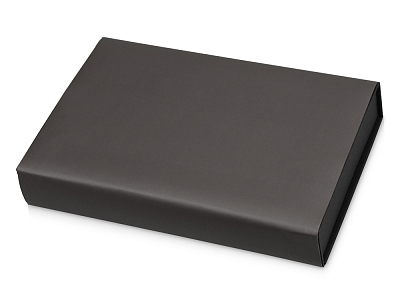 Набор для записей с пауэрбэнком Ион