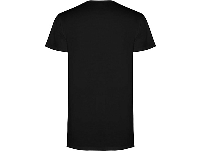 Футболка Collie мужская