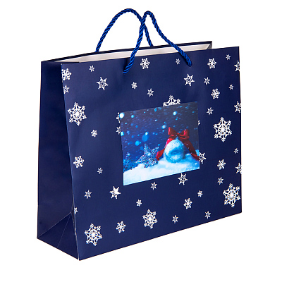 Пакет малый   BLUE WONDER размер 32 x 27 x 11 см