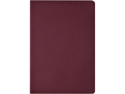 Бизнес-тетрадь А4 Pragmatic