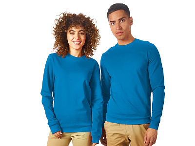 Свитшот Motion с начесом, унисекс (Голубой) Свитшот Motion с начесом, унисекс (Голубой)