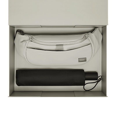 Подарочный набор Бостон (Boston), Филтон (Filton), серый (поясная сумка, зонт)