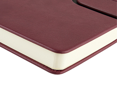 Ежедневник недатированный А5 Status