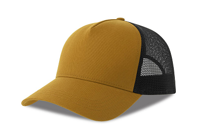 Бейсболка RAPPER COTTON-S, 5 клиньев, пластиковая застёжка (Горчичный)