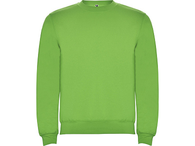 Свитшот с начесом Clasica детский (Зеленое яблоко)