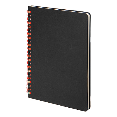 Набор подарочный FLAME: блокнот, ручка, кружка; черный/красный