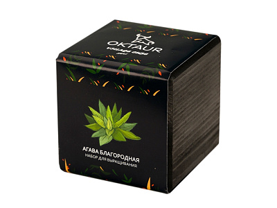 Набор для выращивания Small village cube Агава Благородная (Чёрный)