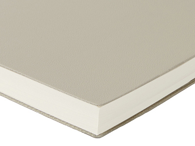 Ежедневник недатированный А5 Grand