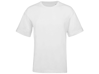 Футболка оверсайз Vienna унисекс