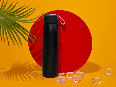 Термобутылка Grace, 320 мл (Чёрный)