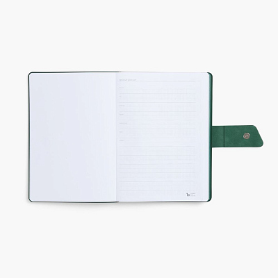 Ежедневник Boom, недатированный, черный с зеленым
