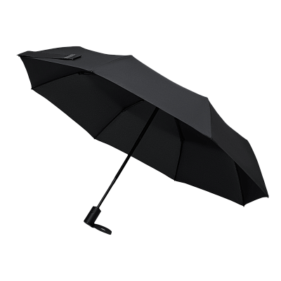 Зонт складной Пассат (Passat), черный (Чёрный)