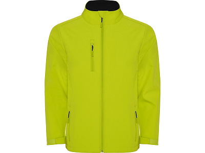 Куртка софтшелл Nebraska мужская (Лаймовый пунш)