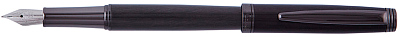 Ручка перьевая Pierre Cardin SHINE. Цвет - антрацит. Упаковка B-1 (Черный)