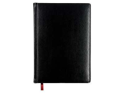 Ежедневник недатированный А5 Sidney Nebraska с белым срезом