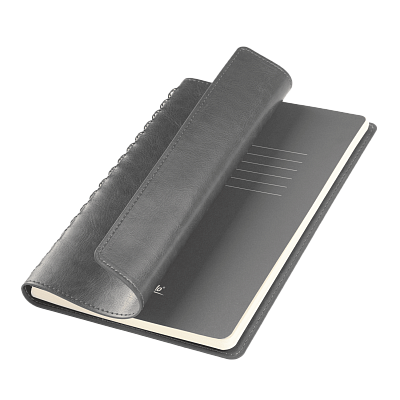 Ежедневник Виста Нео (Vista Neo) недатированный, серый (Серый, бежевый)