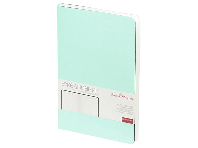 Ежедневник недатированный А5 Megapolis Velvet Flex (Зефирный мятный)