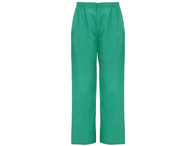 Брюки Vademecum, унисекс (Нежно-зеленый)