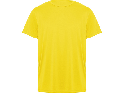 Спортивная футболка Daytona мужская (Желтый)