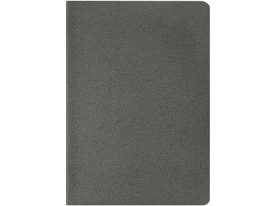 Бизнес тетрадь А5 Pragmatic