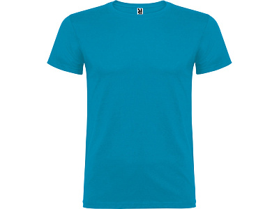 Футболка Beagle детская (Бирюзовый)