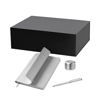 Подарочный набор Passion, Molto  (колонка, ежедневник, ручка) (Серебряный)