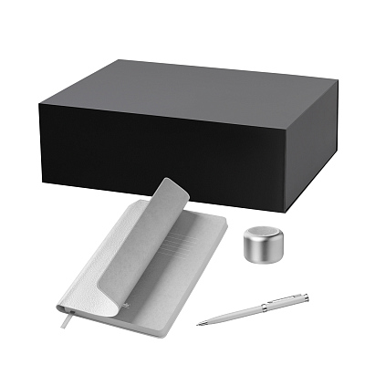 Подарочный набор Passion, Molto  (колонка, ежедневник, ручка) (Серебряный)