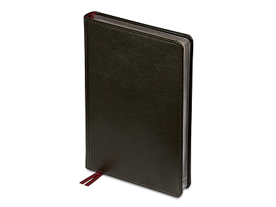 Ежедневник недатированный А5 Parliament (Тёмно-серый)