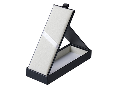 Футляр для 2-х ручек Aristocrat (Чёрный)