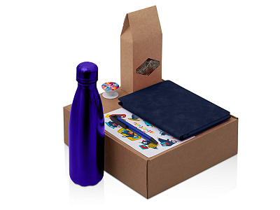 Набор Teanote с термобутылкой, блокнотом, ручкой и чаем (Синий, темно-синий)