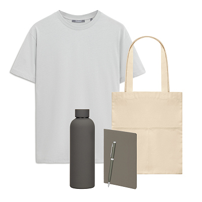 Набор с одеждой KRIS (футболка, термобутылка, ежедневник, ручка, шоппер), серый, S (Серый, коричневый)