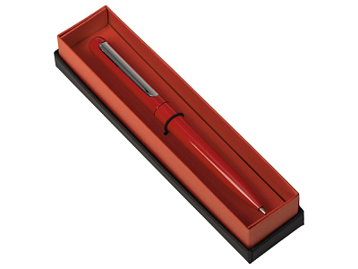 Ручка в футляре Blooming Skate