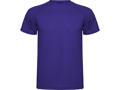 Спортивная футболка Montecarlo мужская (Лиловый)