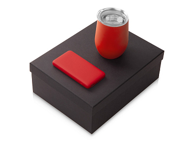 Подарочный набор COLOR IT с термокружкой и повербанком (Красный)