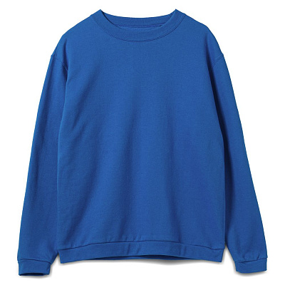 Толстовка Spider 260, ярко-синяя (Синий) Толстовка Spider 260, ярко-синяя (Синий)