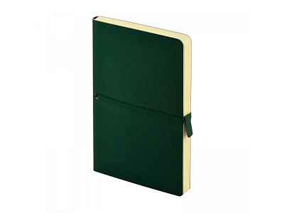 Ежедневник недатированный А5 Tokyo (Зеленый)