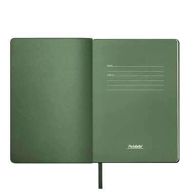 Ежедневник Молто (Molto) недатированный, зеленый (без упаковки, без стикера)