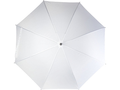 Зонт-трость Ibi