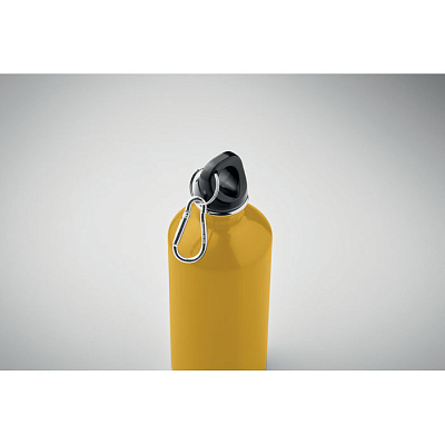 Single wall bottle       500ml