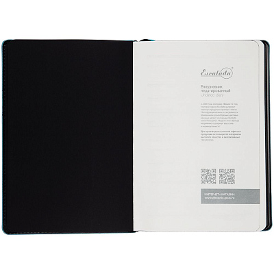 Ежедневник Alanis, недатированный, черный с голубым