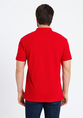 Рубашка поло унисекс хлопок 100%, 185, 04B