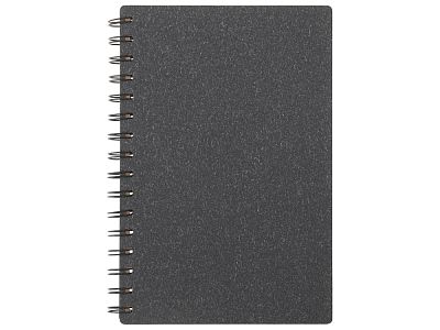 Блокнот А5 на спирали Mania