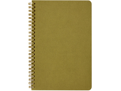 Бизнес тетрадь А5 Pragmatic