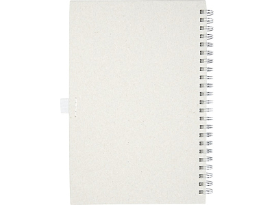 Блокнот на спирали А5 Dairy Dream