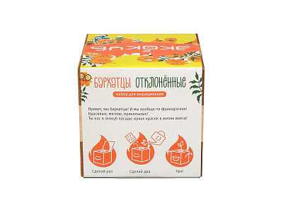 Набор для выращивания Бархатцы