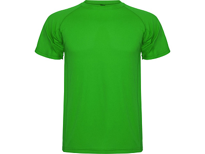 Спортивная футболка Montecarlo детская (Папоротниковый)